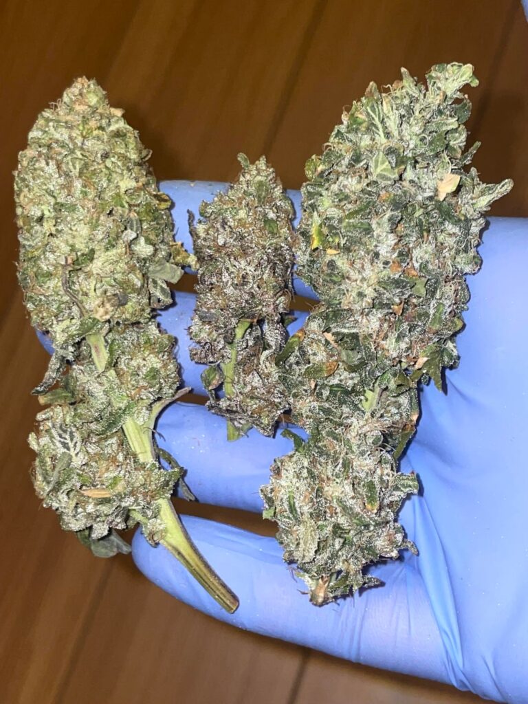 Death Bubba - old school Indica