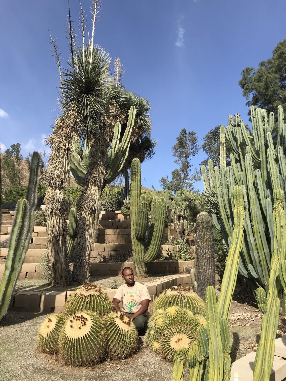 Died and gone to 🌵heaven