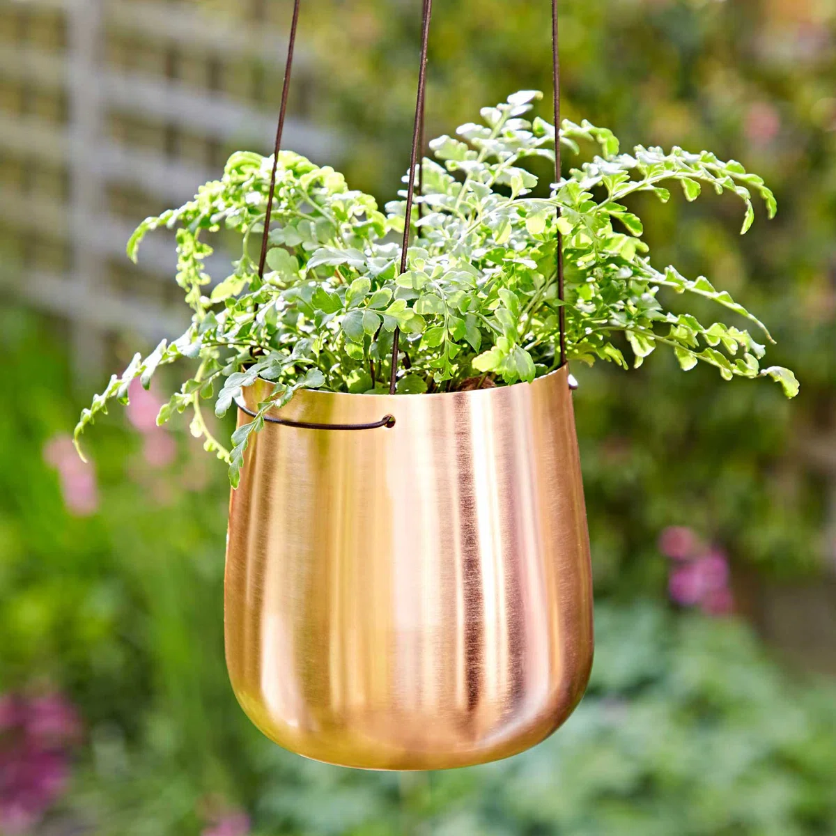 Wayfair.co.uk, Paper High Iron Hanging Planter | Wayfair.co.uk