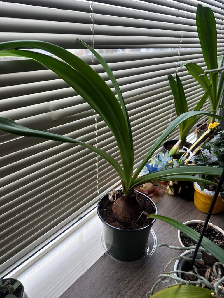 What do I do with these?