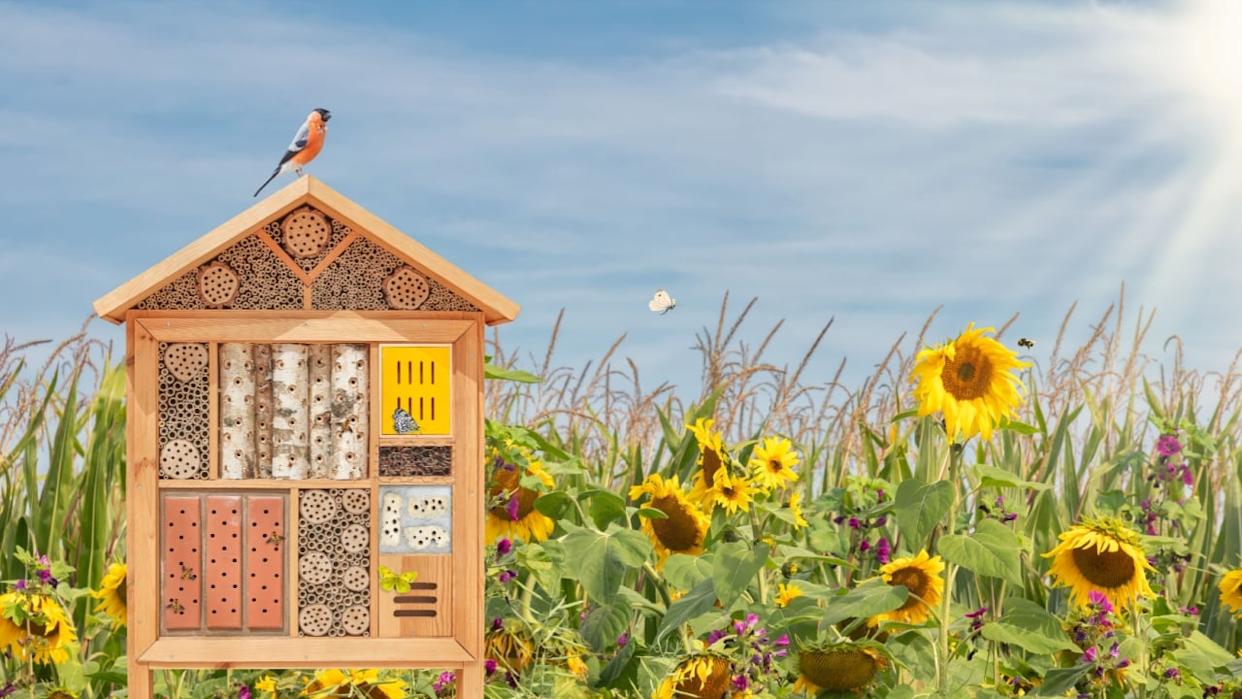 Beautiful insect hotel with bird, flying butterflies and bees in front of blooming sunflowers