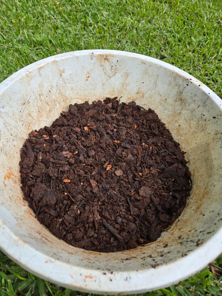 Rate my compost