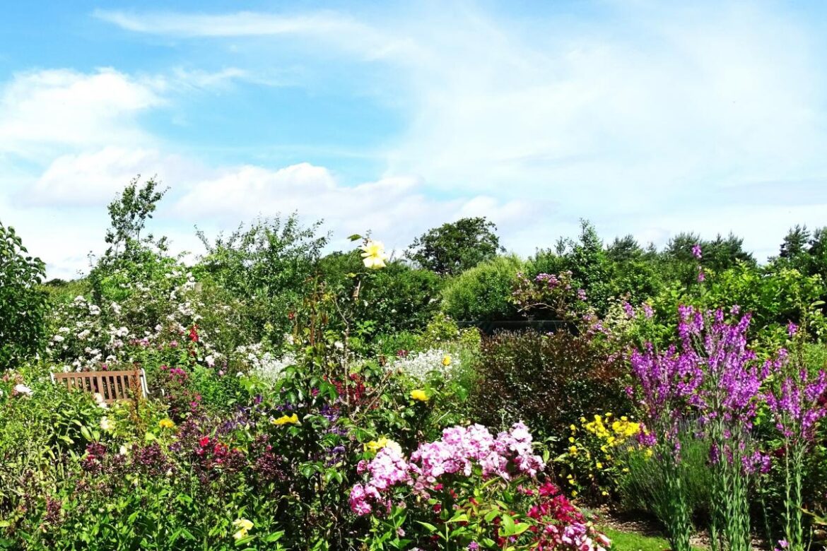 Gardens in Exmouth and East Devon to open this summer for charity