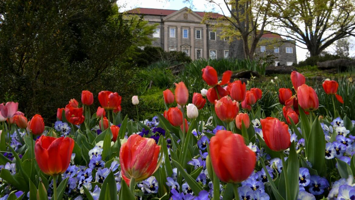 Nashville's Cheekwood to offer year-long advanced gardening program