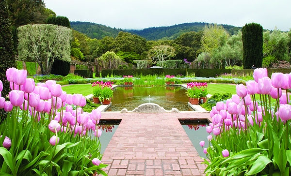 Peninsula spring home & garden guide: Wildflower hikes, garden tours, green homes — and more Peninsula spring home & garden guide: Wildflower hikes, garden tours, green homes — and more
