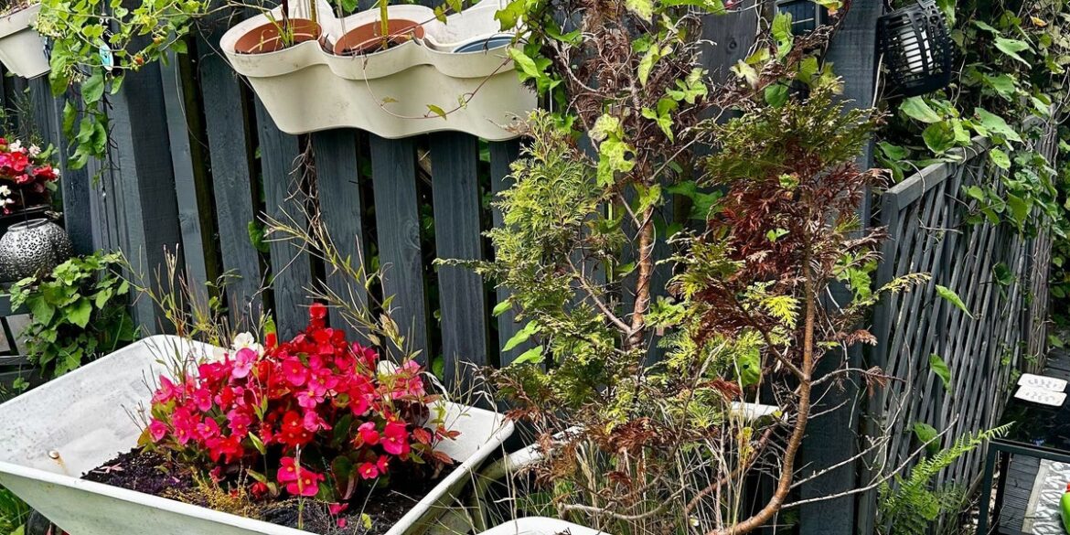 I'm A Beginner Gardener – Here's Exactly What I'm Planting This Spring