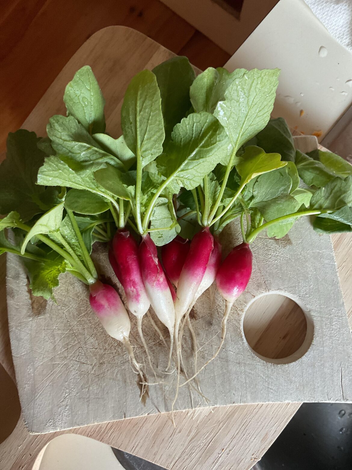 Radishes are so easy!