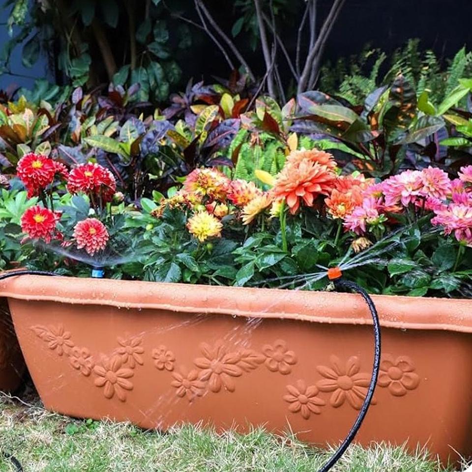 Amazon Has the Gardening Tools You Need for Spring