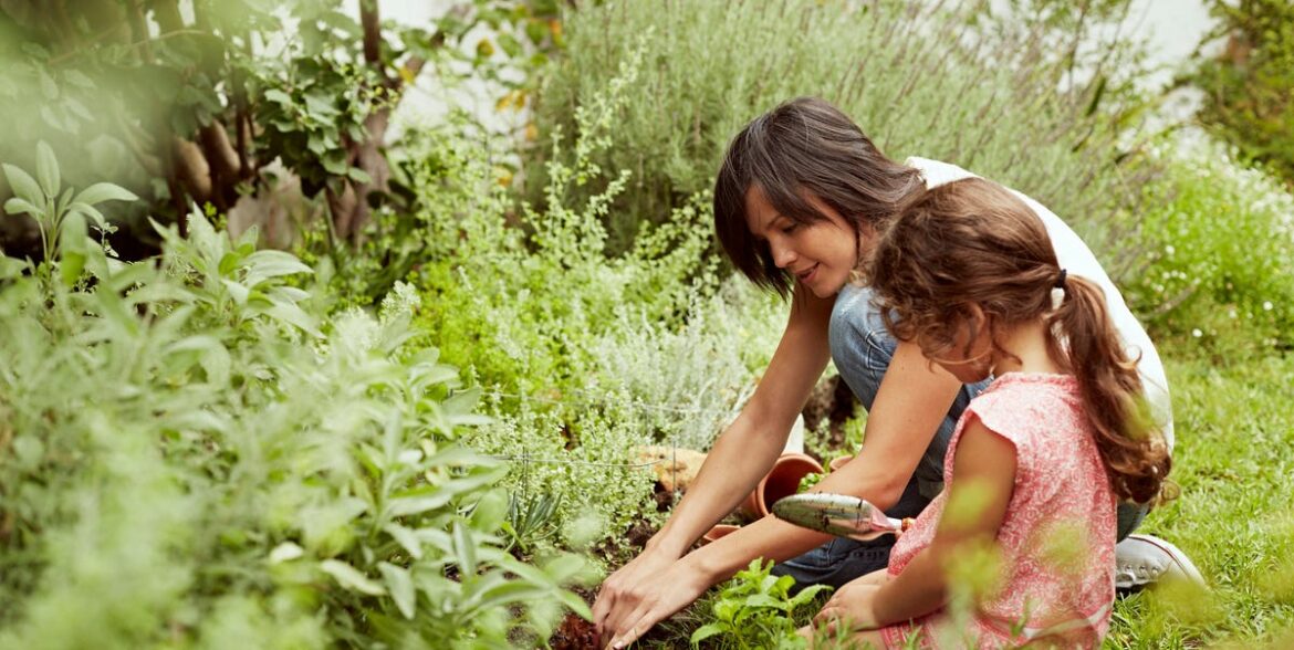 How to Start a Sustainable Garden as a Beginner