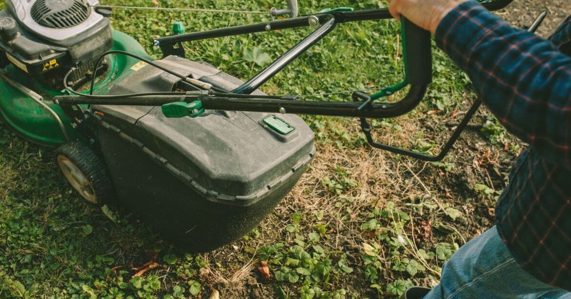 How to make lawns grow greener and healthier starting in March