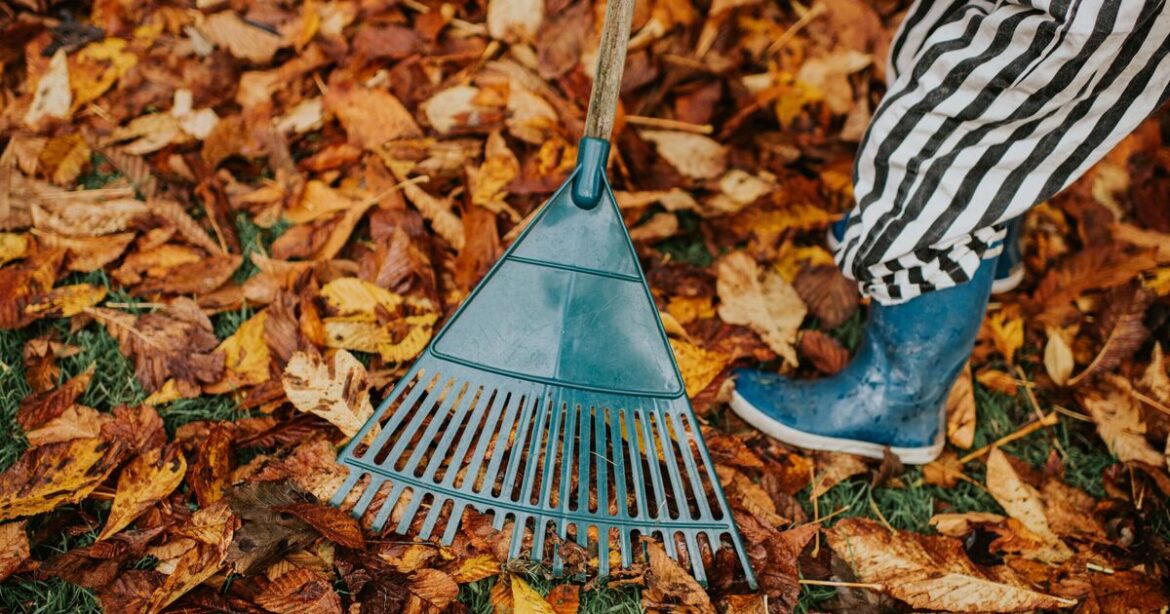 Warning issued to anyone with leaves in garden
