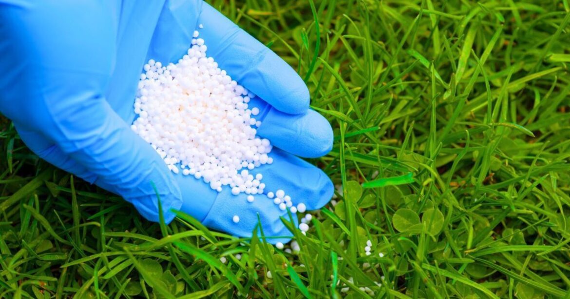 Anyone with a lawn needs to pour 1 simple item on the grass as soon as possible Anyone with a lawn needs to pour 1 simple item on the grass as soon as possible