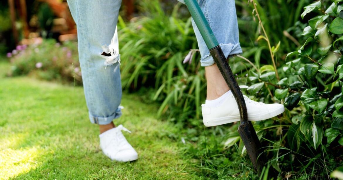 Alan Titchmarsh hasn’t used weed killer in 20 years — how gardener gets rid of lawn weeds