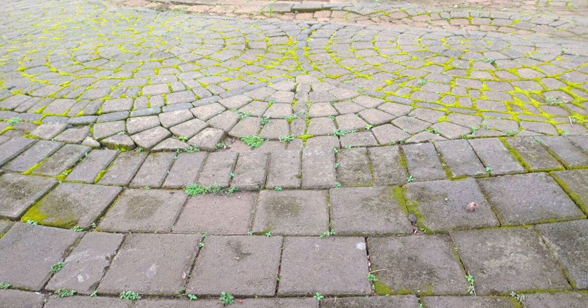 Gardeners urged to sprinkle 1 ingredient on mossy lawns and driveways