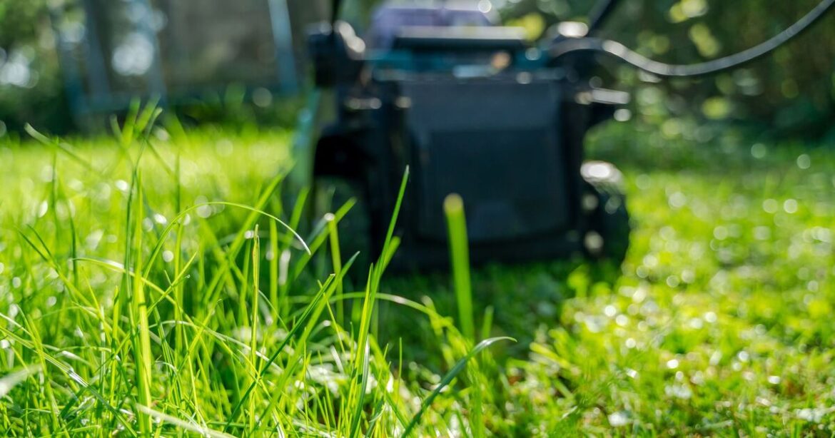 Gardeners told exact date to mow lawn before spring
