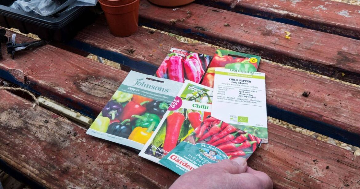 Gardening experts say best thing to do with expired seeds