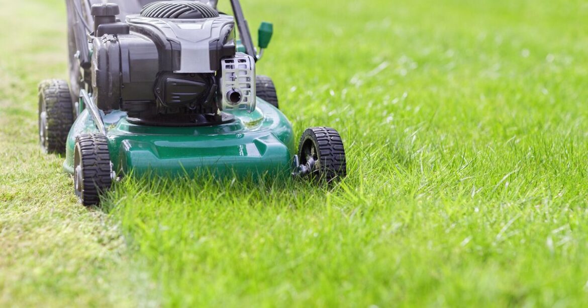 Gardeners told not to mow lawn at all until July