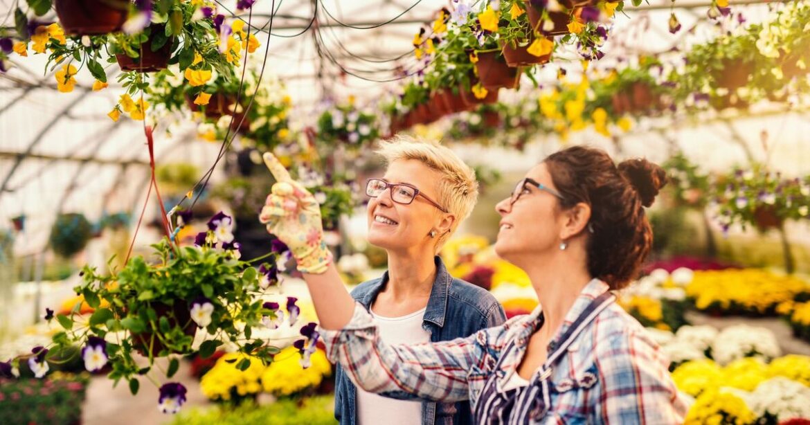 UK garden centre collapses into administration – opened in 2018 | UK | News