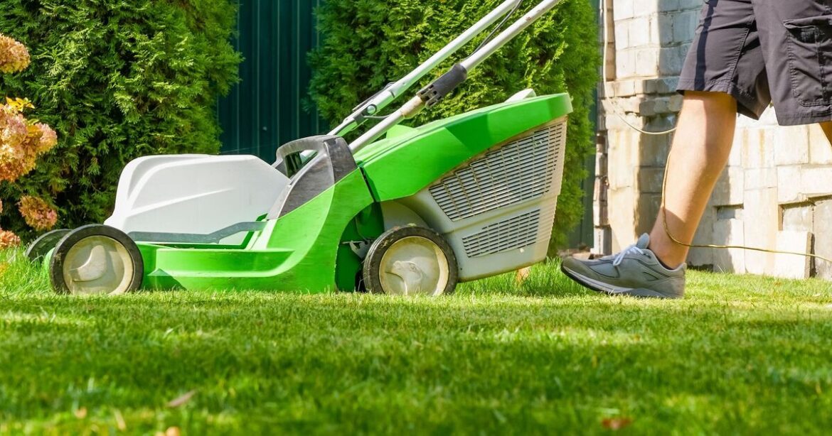 Monty Don warns about cutting grass in March or risk summer mistake Monty Don warns about cutting grass in March or risk summer mistake