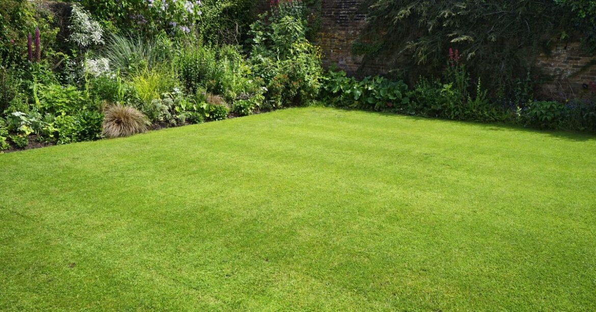 Lawns will turn extra green if treated with 1 kitchen ingredient this spring