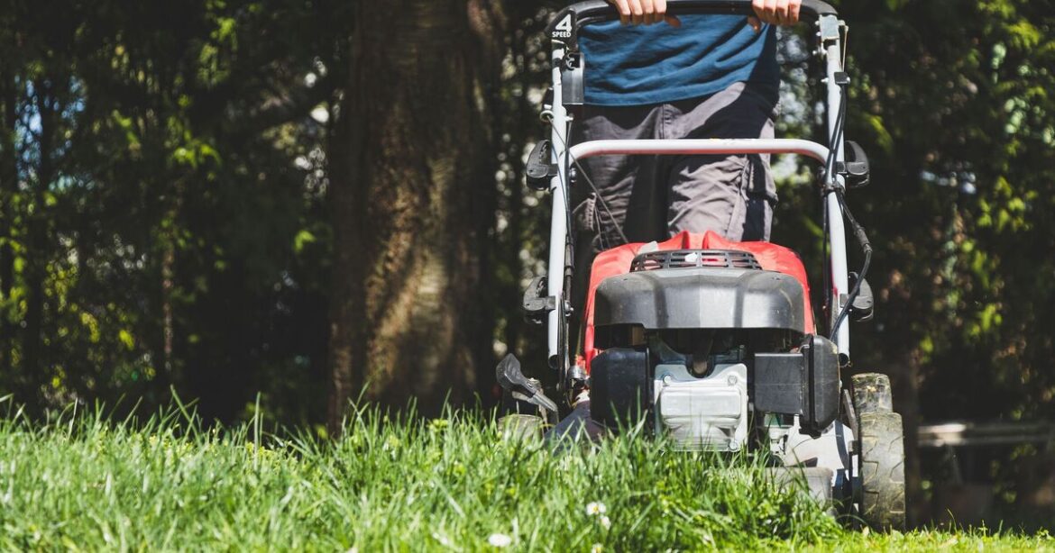 Gardeners urged to avoid £5,000 fine for mowing lawn at wrong time on weekends Gardeners urged to avoid £5,000 fine for mowing lawn at wrong time on weekends