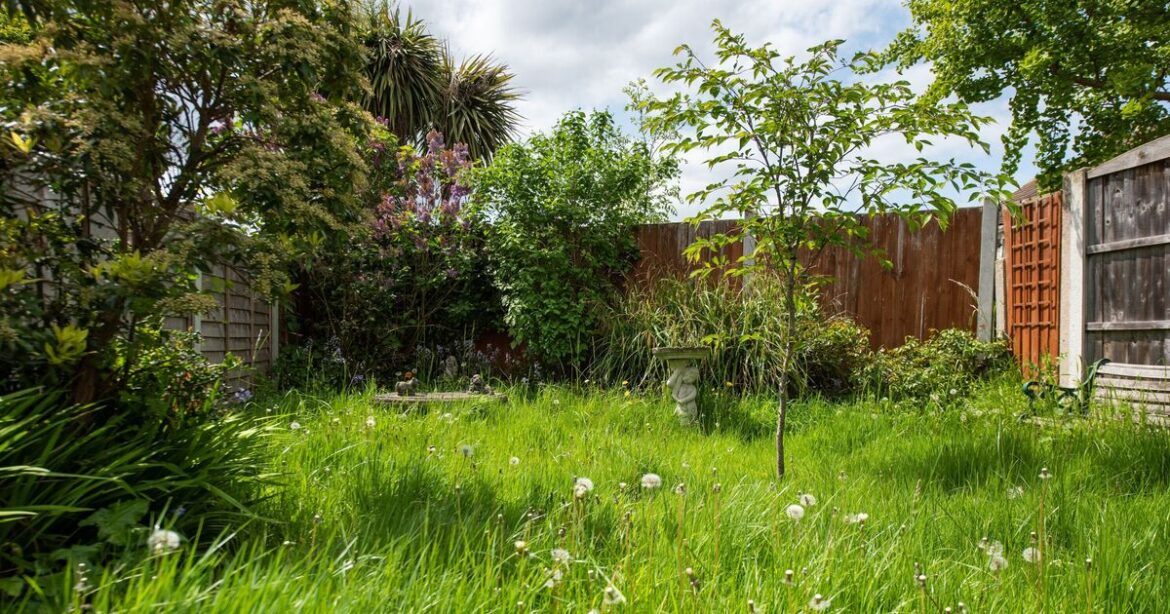 Woman, 76, quoted £3,000 for garden work gets huge surprise Woman, 76, quoted £3,000 for garden work gets huge surprise