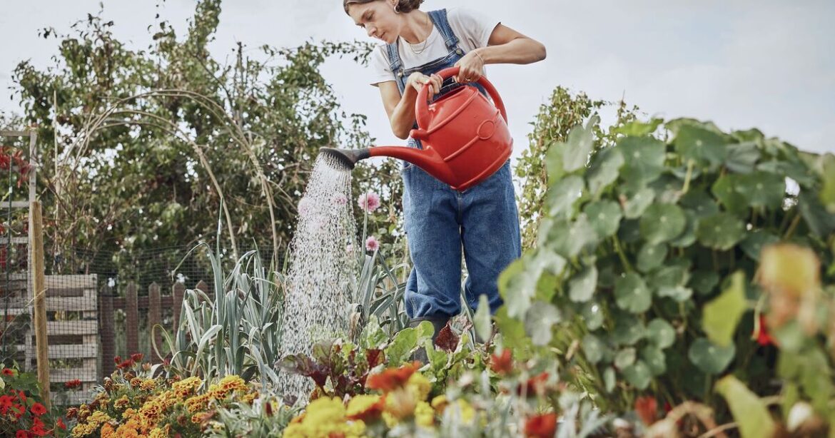Gardener says 1 outside job isn’t worth your time in March