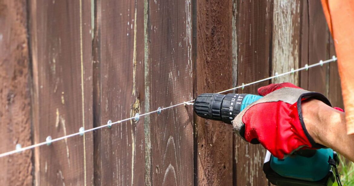 Gardeners urged to drill holes in fence before spring