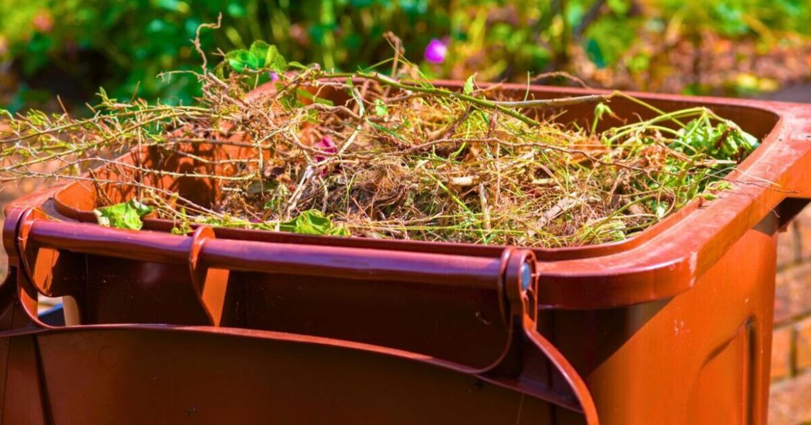 Compost bins stay clean with no flies if gardeners throw 1 simple item inside it