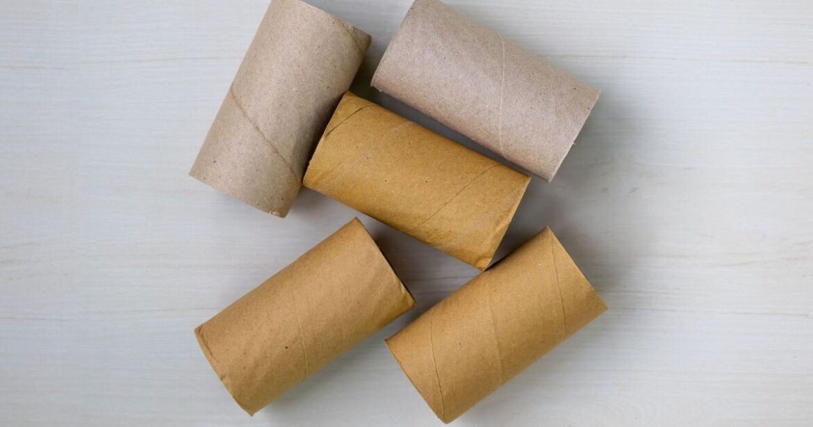 Households told to put toilet rolls in garden for 'vital' reason