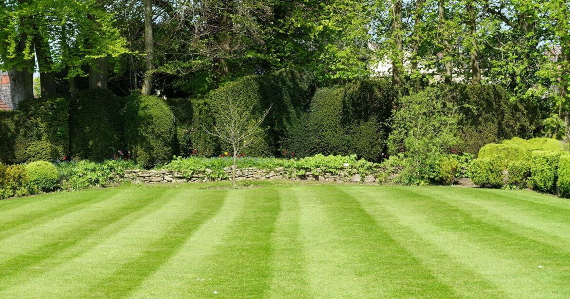 Grass will grow back thick after 3 spring jobs as gardeners issued lawn mower warning