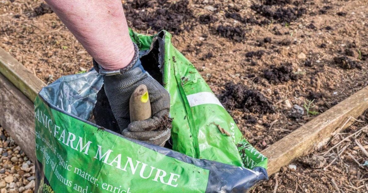 Specific mulch type gives roses and hostas 'nutrients they need'