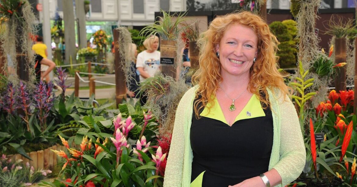 Charlie Dimmock gardening series that everyone missed – ‘better than Ground Force’ | TV & Radio | Showbiz & TV Charlie Dimmock gardening series that everyone missed – ‘better than Ground Force' | TV & Radio | Showbiz & TV