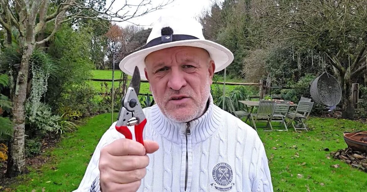 Gardeners urged to do important job within next 19 days