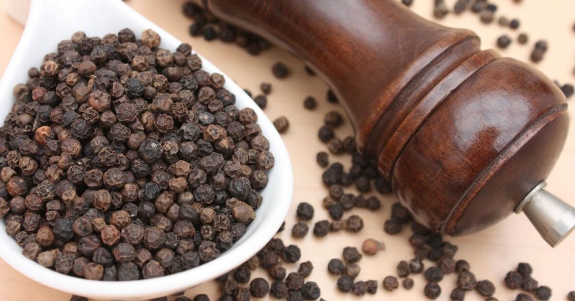 Gardeners urged to sprinkle black pepper outdoors Gardeners urged to sprinkle black pepper outdoors