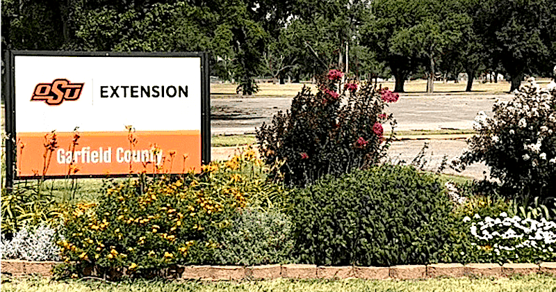 Gardening program set for March 17 | News Gardening program set for March 17 | News