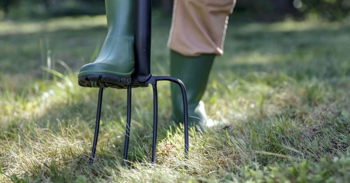 Gardeners urged to make holes in lawns in March