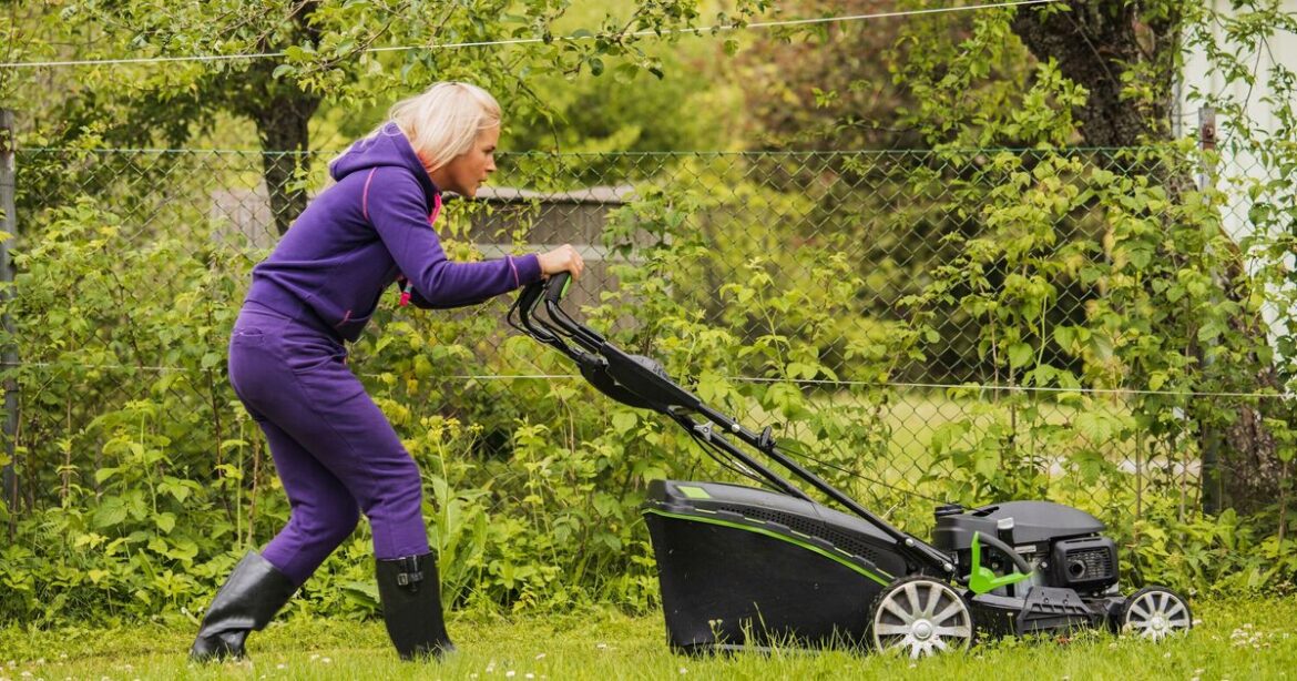 Gardeners given exact time to mow grass in spring as lawnmower warning Gardeners given exact time to mow grass in spring as lawnmower warning