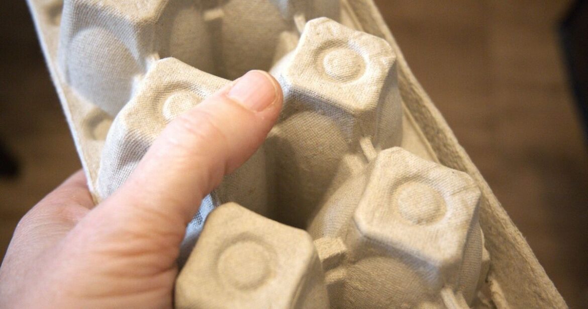 People urged to put egg cartons in garden this month