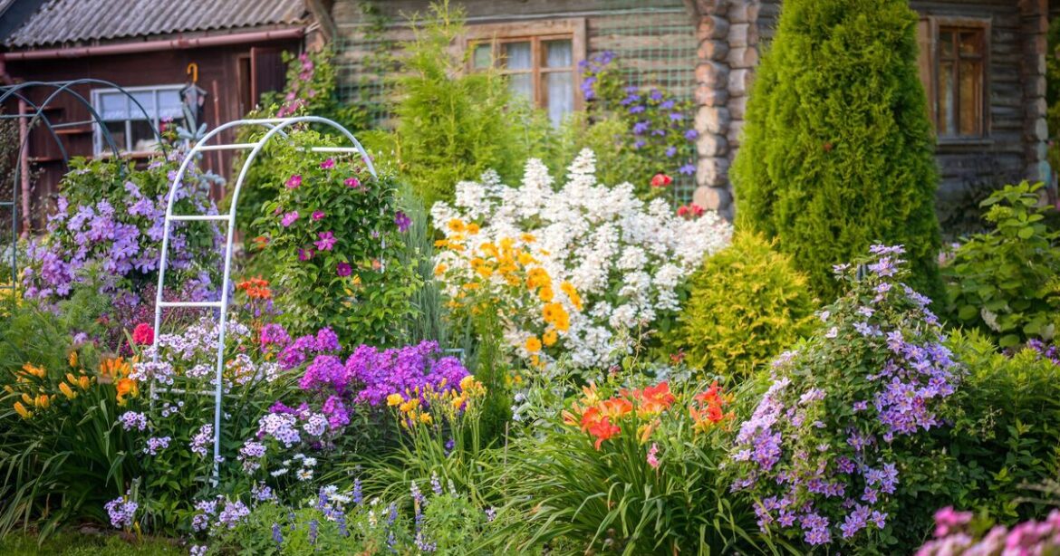 Gardeners urged to plant in March for huge summer flowers Gardeners urged to plant in March for huge summer flowers