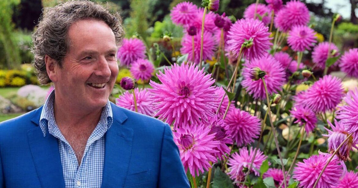 Diarmuid Gavin’s ‘easy’ gardening tips and vital dahlia advice Diarmuid Gavin's 'easy' gardening tips and vital dahlia advice