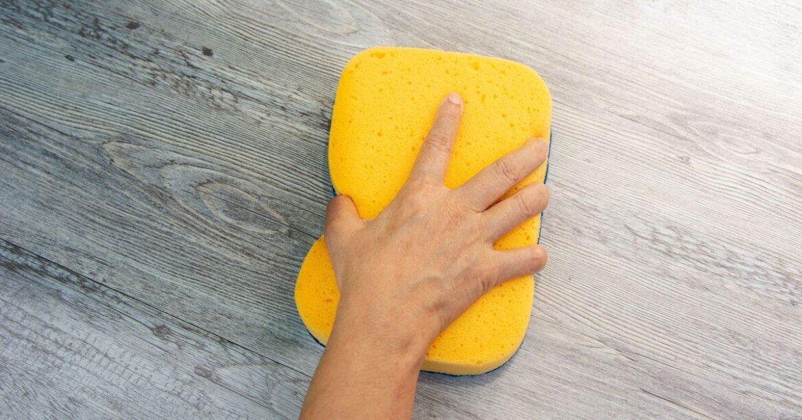 Gardeners urged to place old sponges in gardens this week