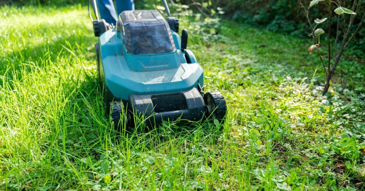 Lawns will be a ‘lot healthier’ if you complete one task Monty Don recommends now Lawns will be a ‘lot healthier’ if you complete one task Monty Don recommends now