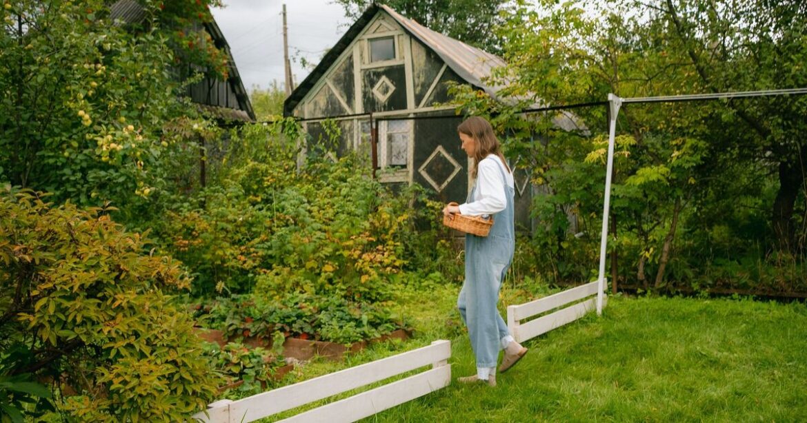 Gardeners warned of 3 mistakes to make house prices plummet Gardeners warned of 3 mistakes to make house prices plummet