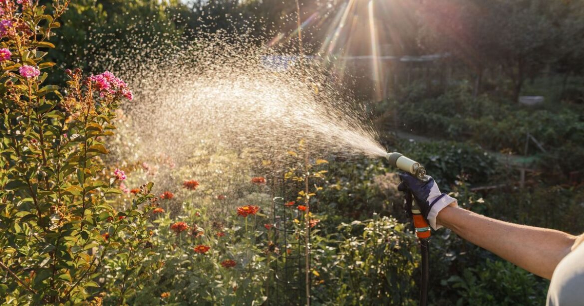 UK households urged to check garden hoses next wek UK households urged to check garden hoses next wek