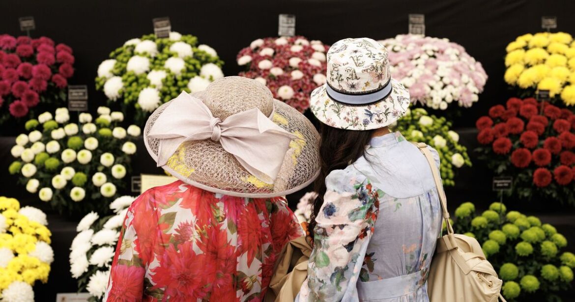 Chelsea Flower Show goes risqué with first ever sex garden in 2026 | UK | News Chelsea Flower Show goes risqué with first ever sex garden in 2026 | UK | News