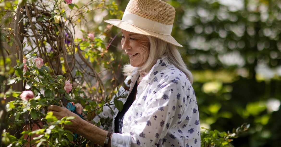 Gardeners told to do 1 crucial job in March to help plant survive Gardeners told to do 1 crucial job in March to help plant survive