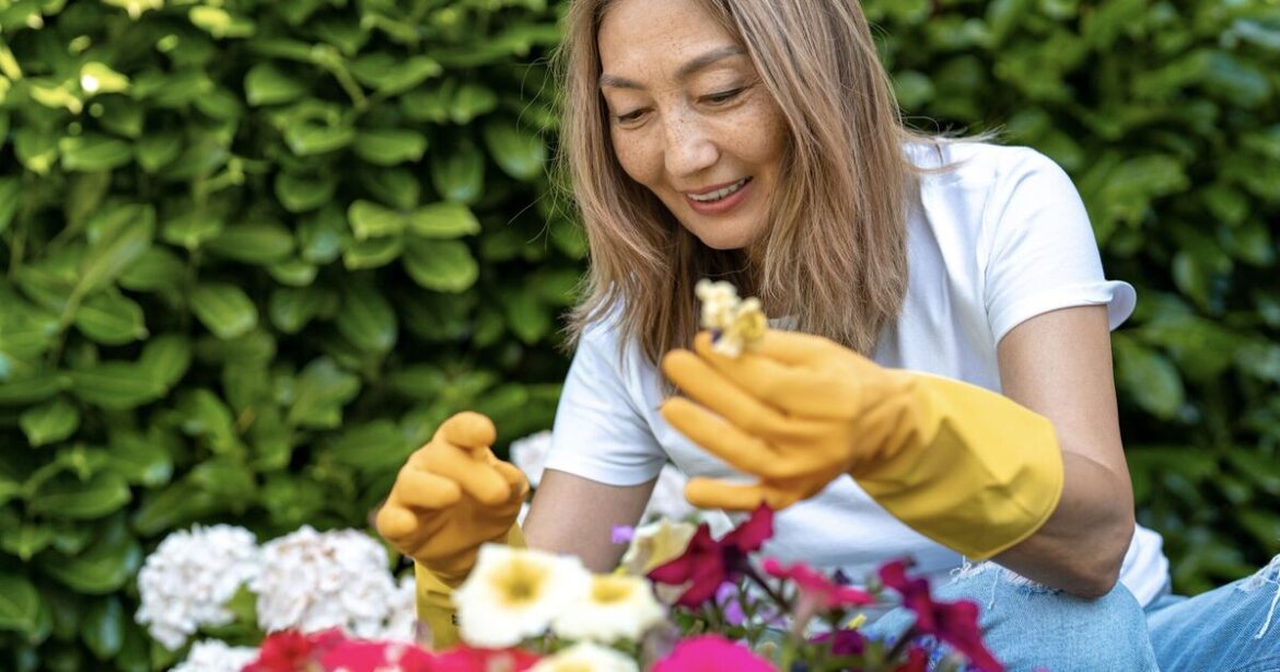 Gardeners urged not to throw away everyday item as it has 'lovely' use