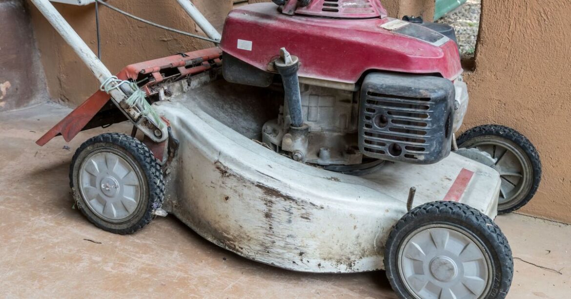 Brits urged to check lawn mowers now or risk growing patchy grass Brits urged to check lawn mowers now or risk growing patchy grass