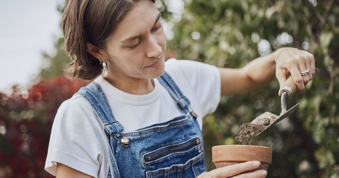 Gardener urges anyone using new pots to do 1 task before planting